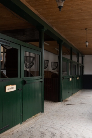 [lang_nl]Lange gang links[/lang_nl][lang_en]Long aisle links[/lang_en]